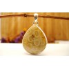 Pendentif en argent et Corail fossile.