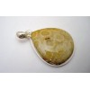 Pendentif en argent et Corail fossile.