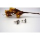 Boucles d'oreille en argent.