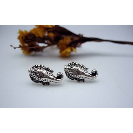 Boucles d'oreille en argent.