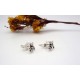 Boucles d'oreille en argent.