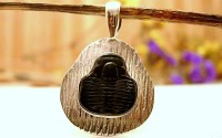 Pendentif argent et Trilobite