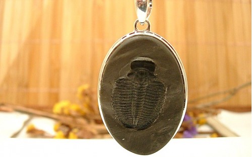 Pendentif en argent et Trilobite.