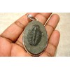 Pendentif en argent et Trilobite.