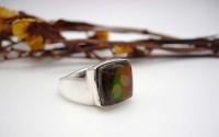 Bague argent et Ammolite T53.5