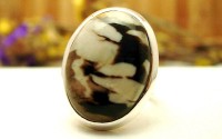 Bague argent avec Jaspe T 60