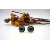 Clous d'oreilles argent et Malachite.